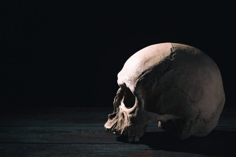 Den miljon år gamla skallen som ”helt förändrar” vår förståelse av människans evolution, enligt forskare