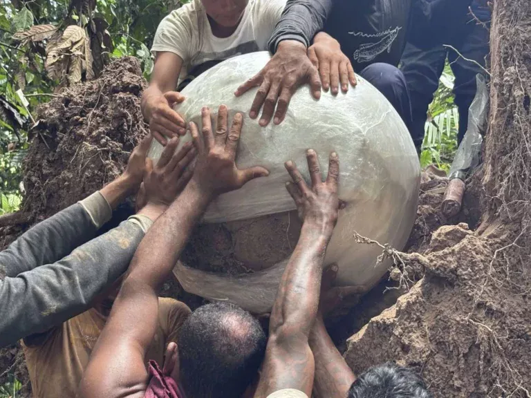 Arkeologer förvånade över mysteriet med de sfärer som hittats i Amazonas: ”det fanns ben inuti dem”