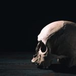 Den miljon år gamla skallen som ”helt förändrar” vår förståelse av människans evolution, enligt forskare
